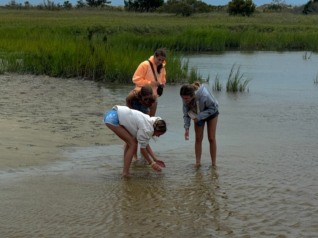 Southern Shores Cruises-美特尔海滩必去景点