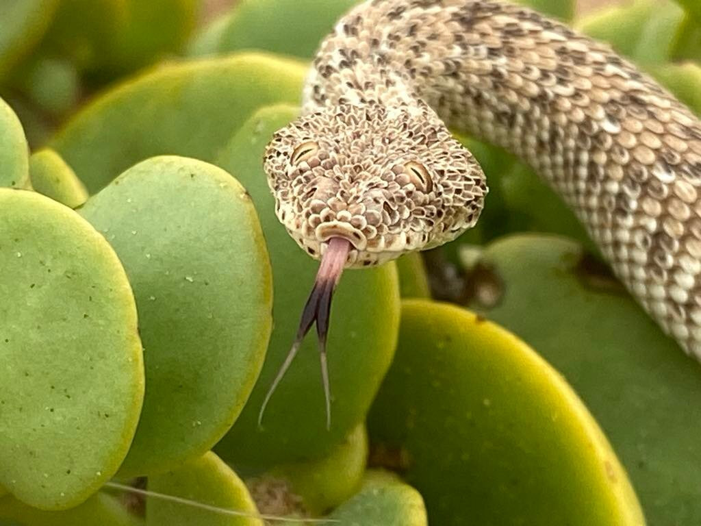 Tommy's Tours and Safaris-斯瓦科普蒙德必去景点