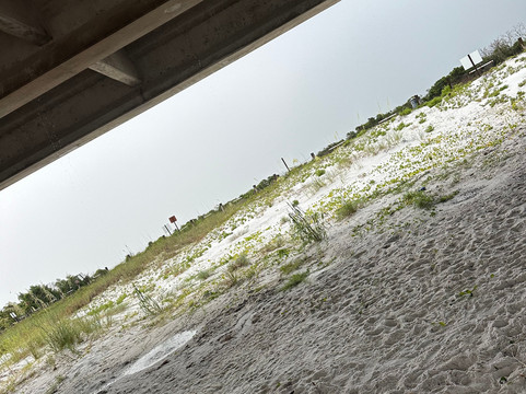 Crab Island Jimmy's Charters-华尔顿堡滩必去景点