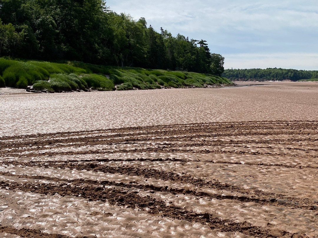 Fundy Tidal Bore Adventures-Green Oaks必去景点
