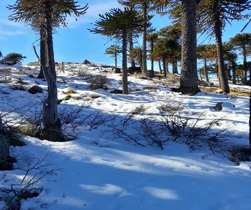 Laguna Escondida-Caviahue必去景点