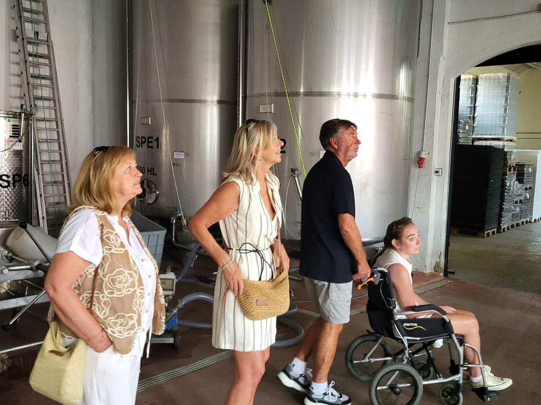 Vinicola del Priorat-Gratallops必去景点