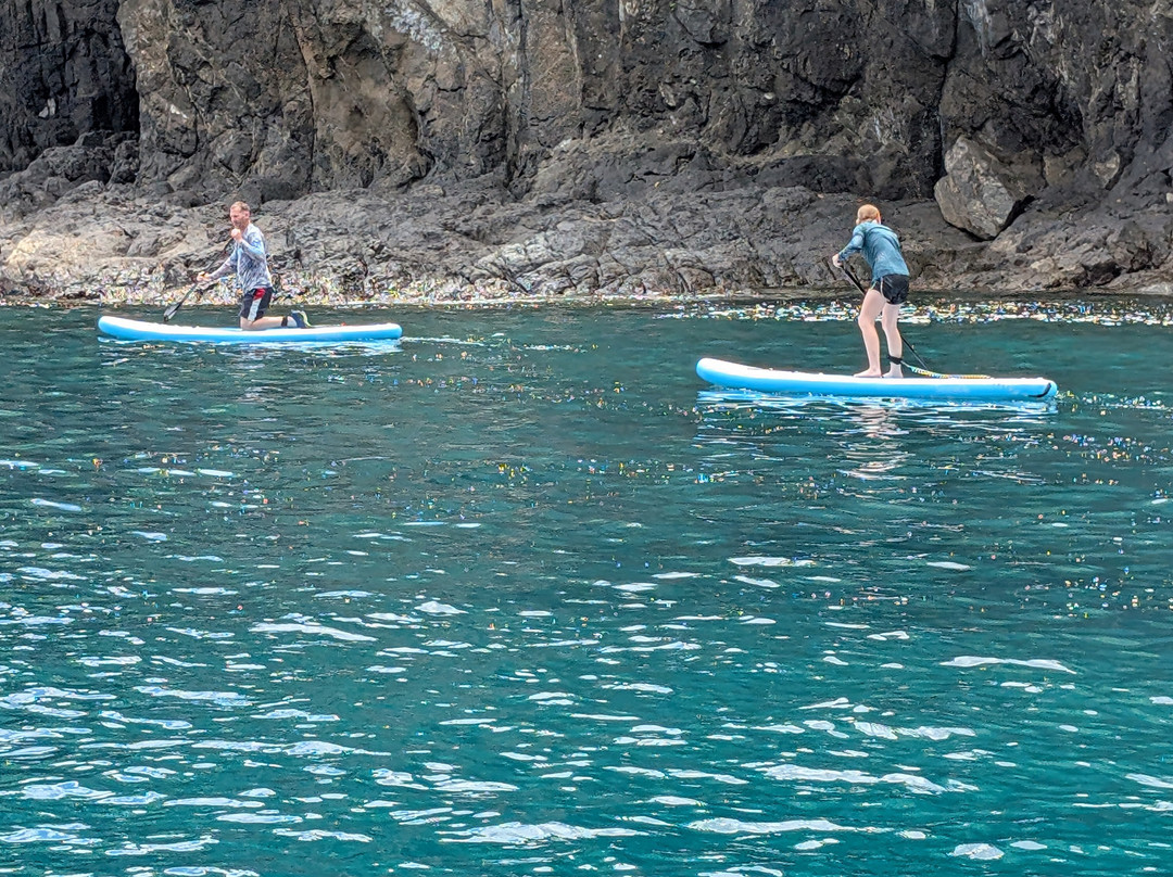 Life is Better at Sea-Playa Flamingo必去景点