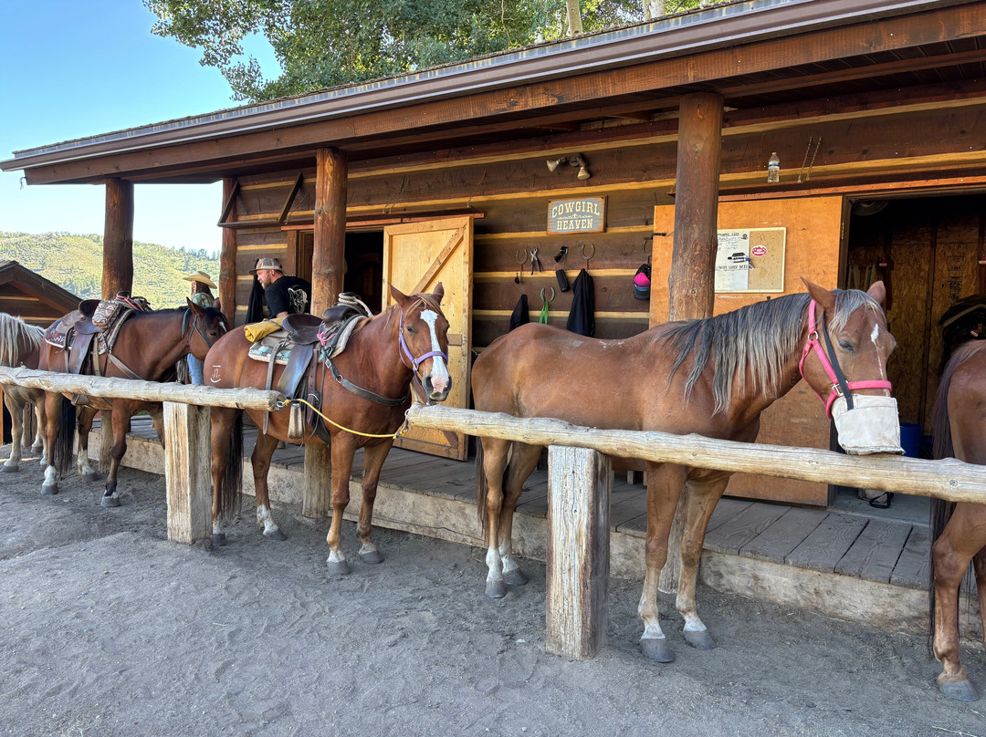 Beaver Creek Stables-比弗河必去景点