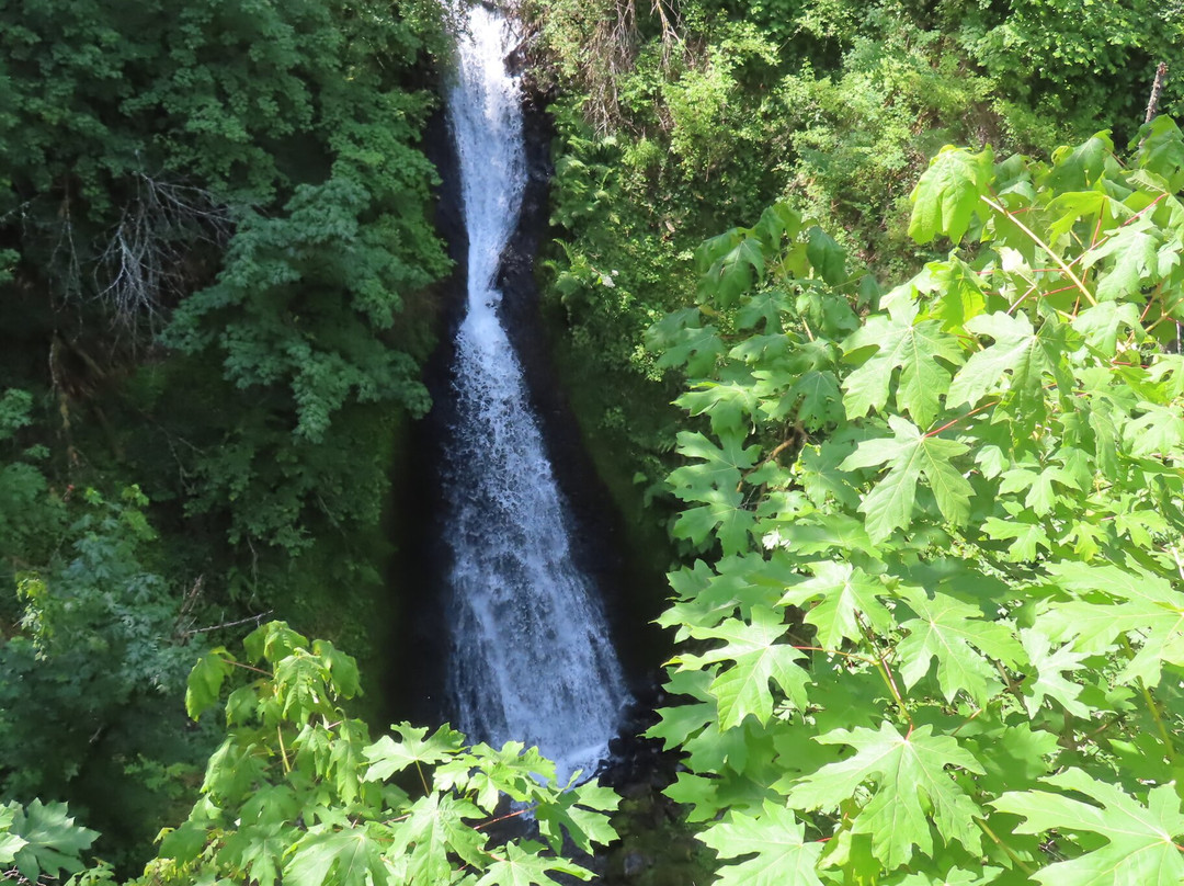 Shepperd's Dell State Natural Area-劳特代尔必去景点