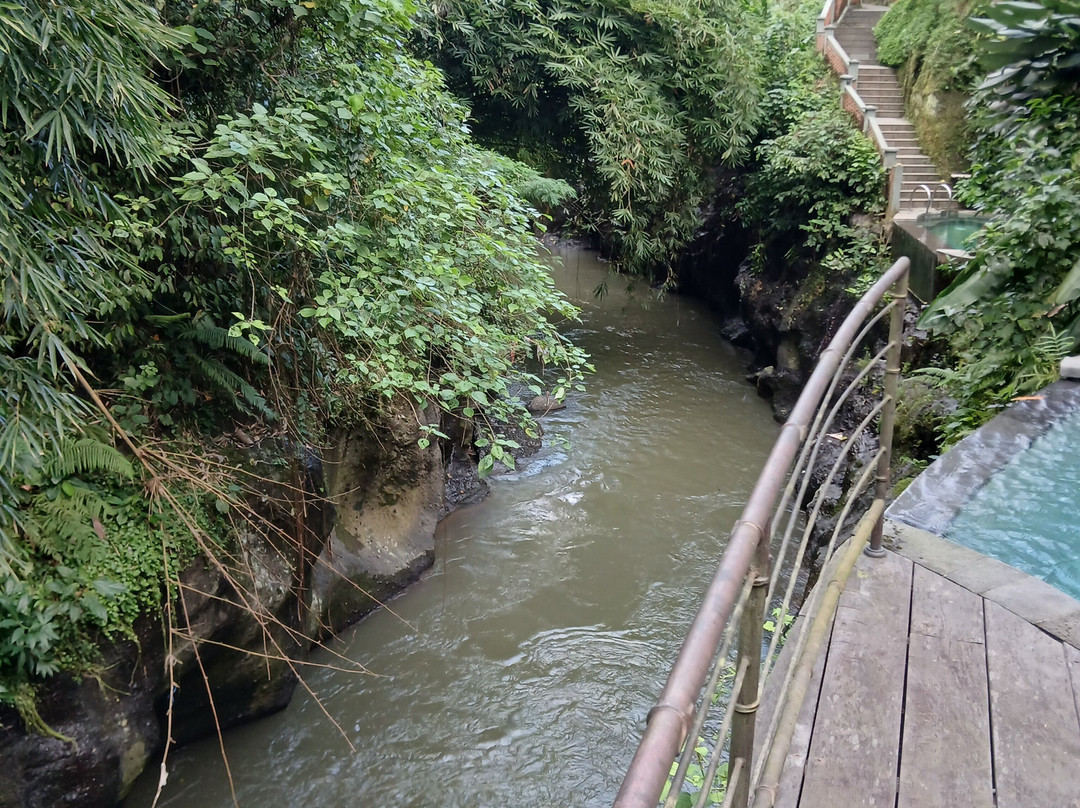 Lumina Wellness Retreat