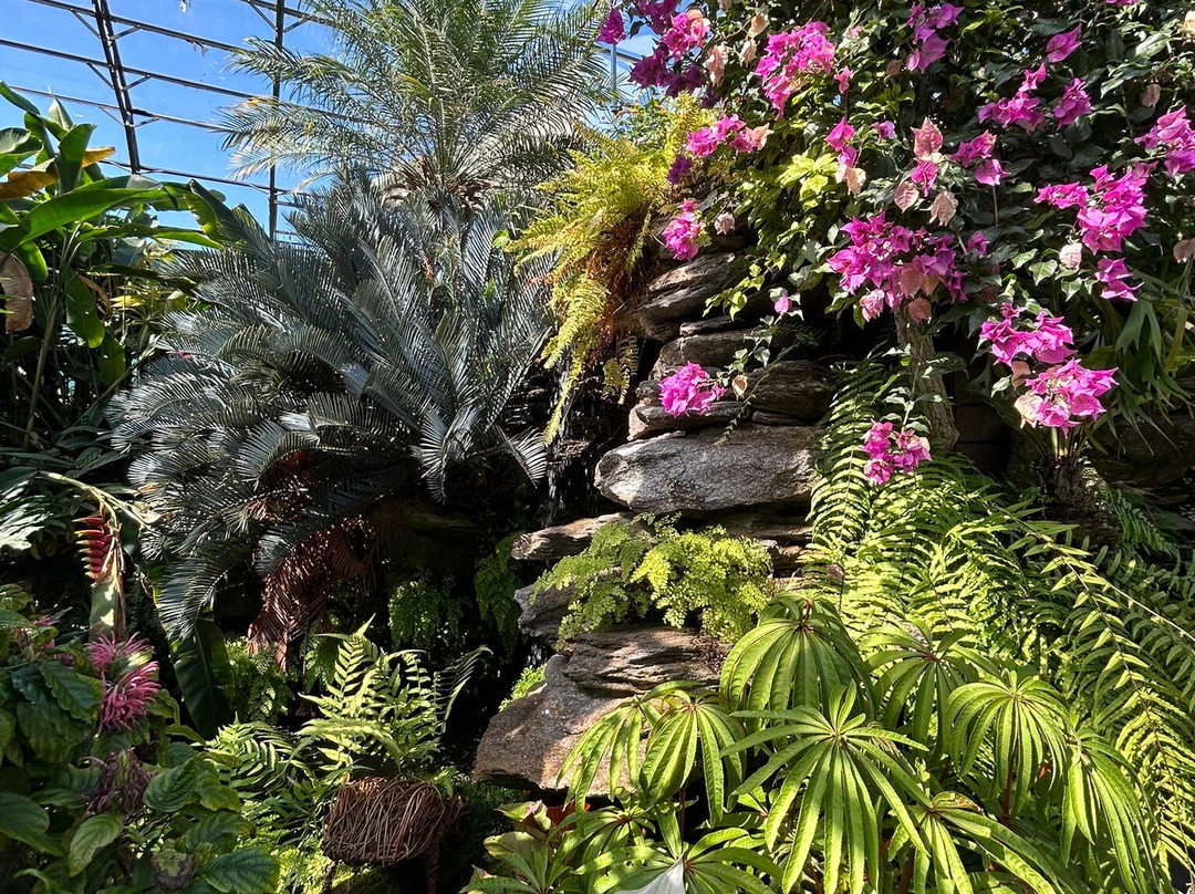 Inverness Botanic Gardens-因弗内斯必去景点