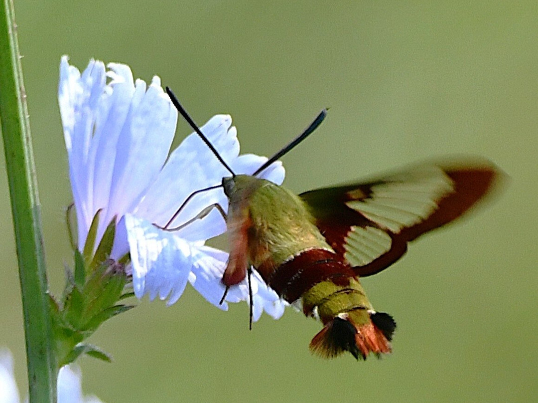 Ice Age Trail-Cross Plains必去景点