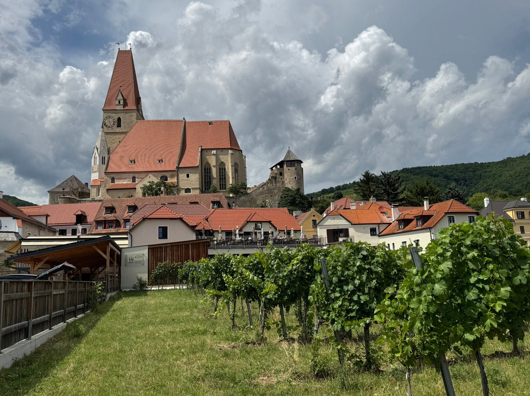 Hotel Kirchenwirt Wachau主图