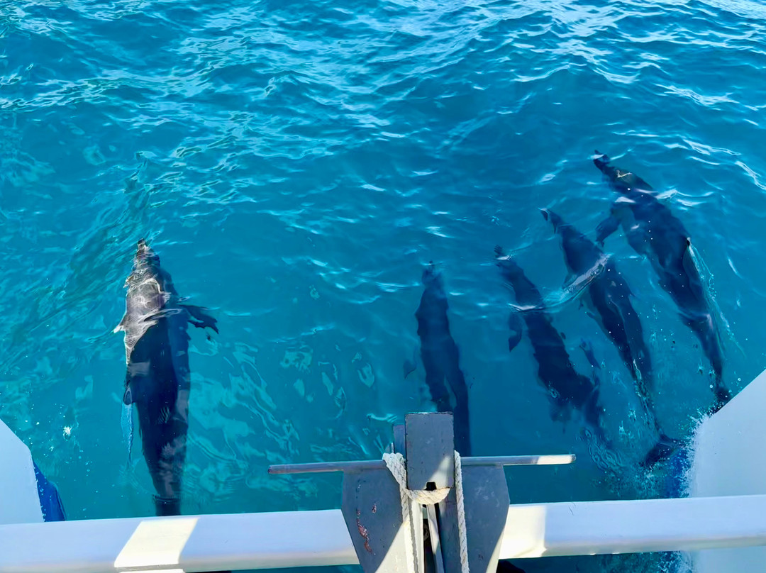 Na Pali Sea Breeze-基拉韦厄必去景点