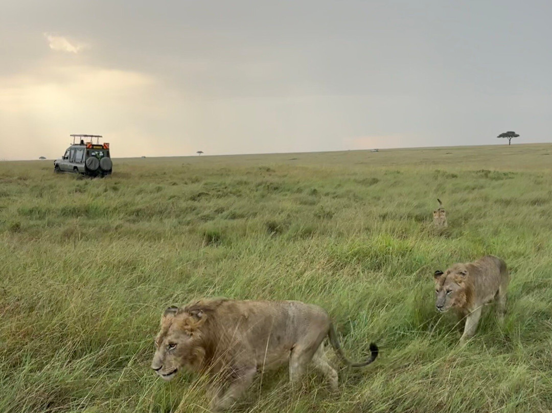 Right Choice Tours & Safaris-内罗毕必去景点