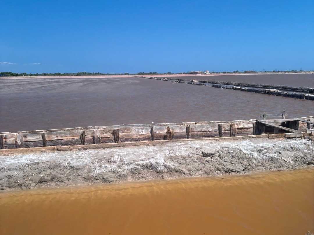 Salin de la Palme-La Palme必去景点