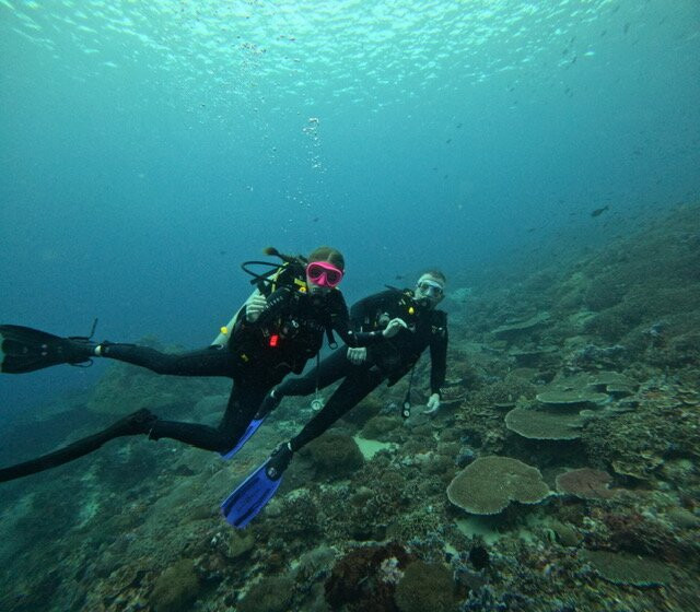 Ceningan Divers-努沙切宁安岛必去景点