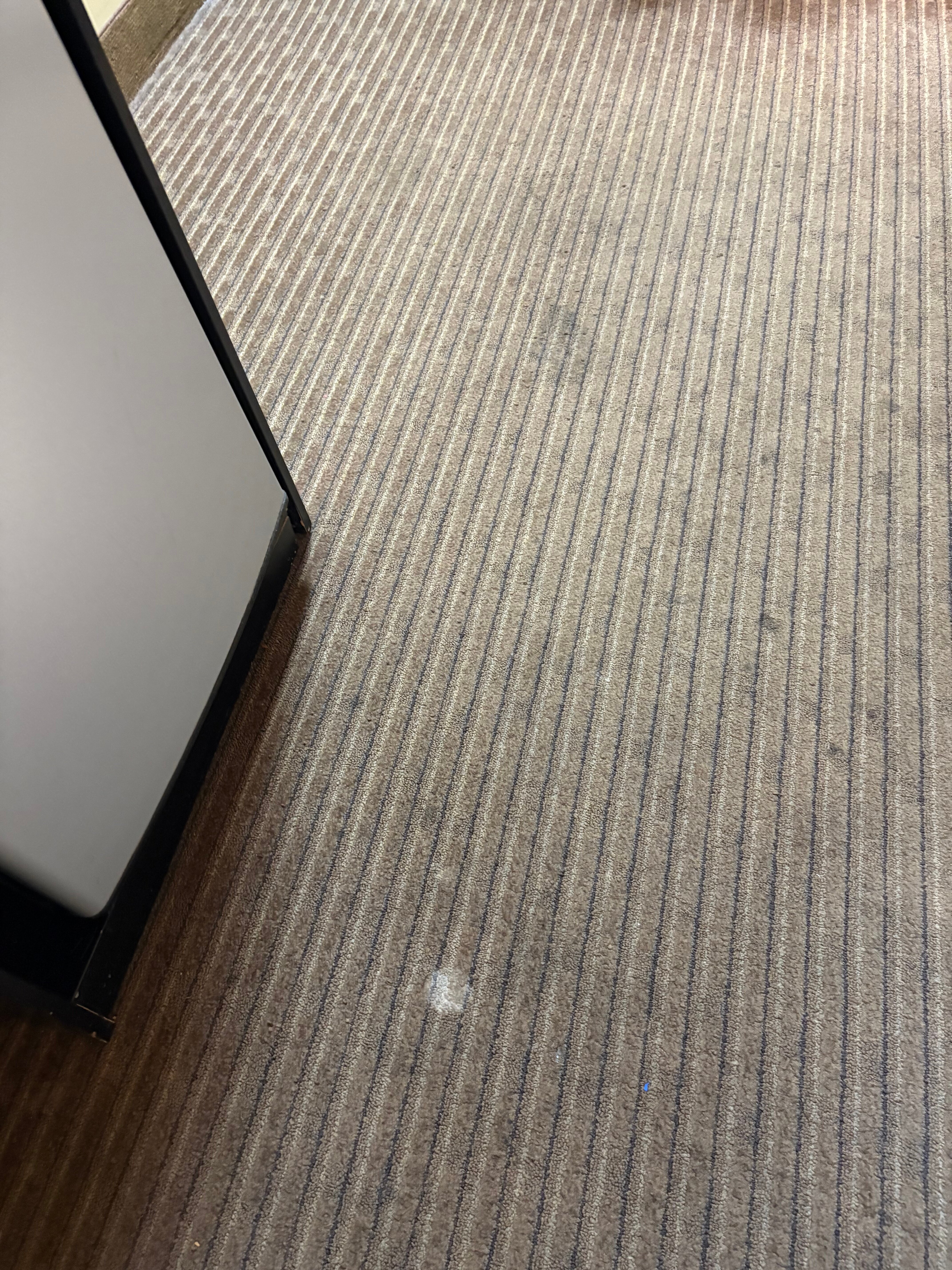 普罗沃万豪酒店及会议中心-官方