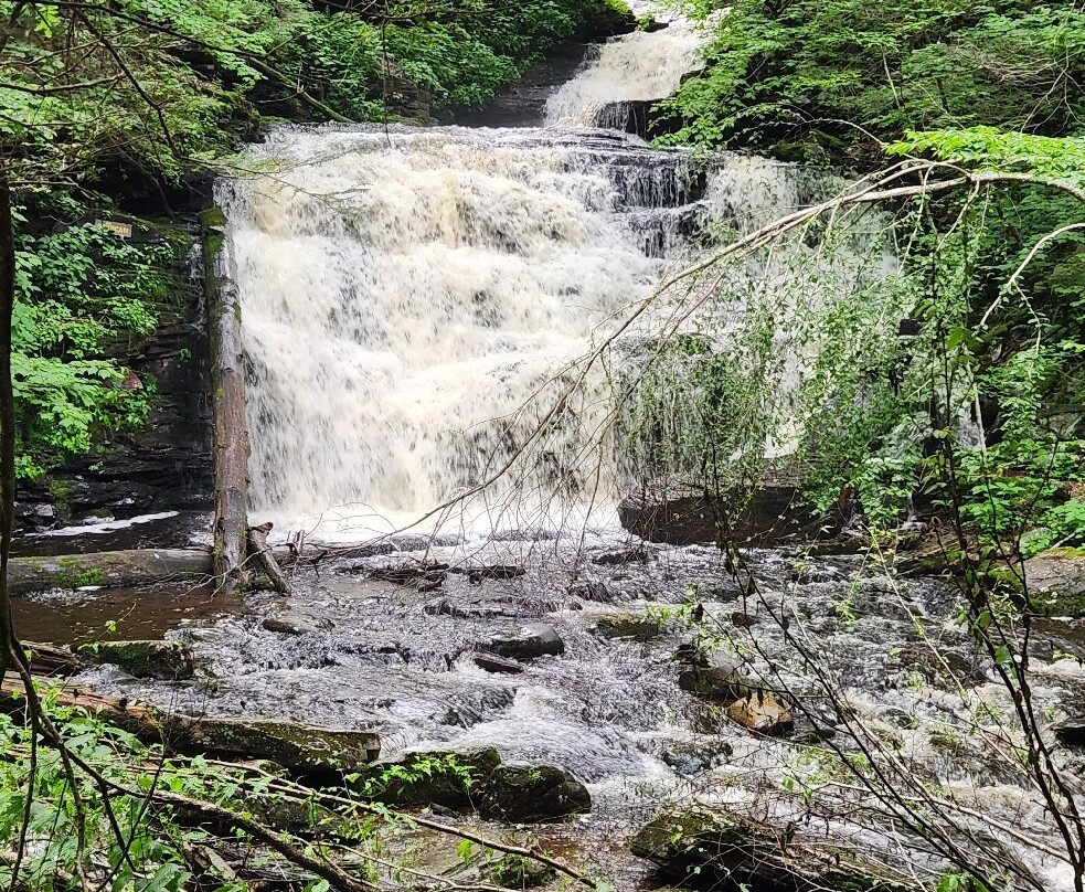 Ricketts Glen State Park-Benton必去景点