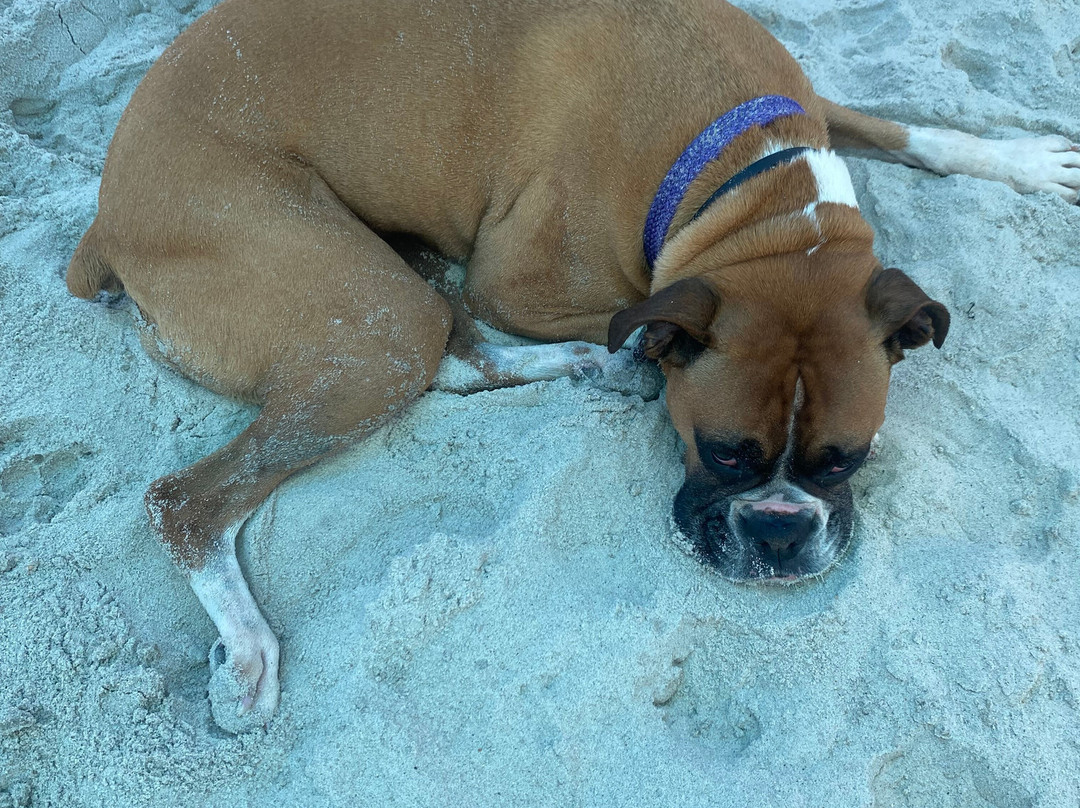 The William & Garland Motel主图