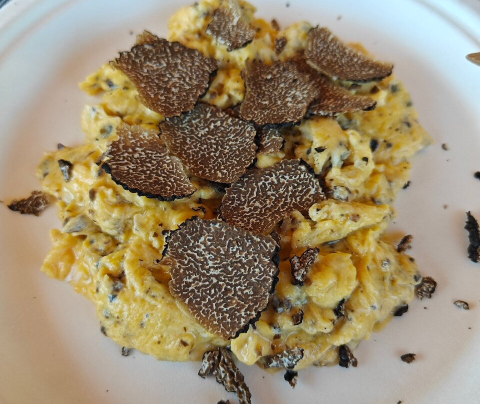 Truffle Hunting-Motovun必去景点