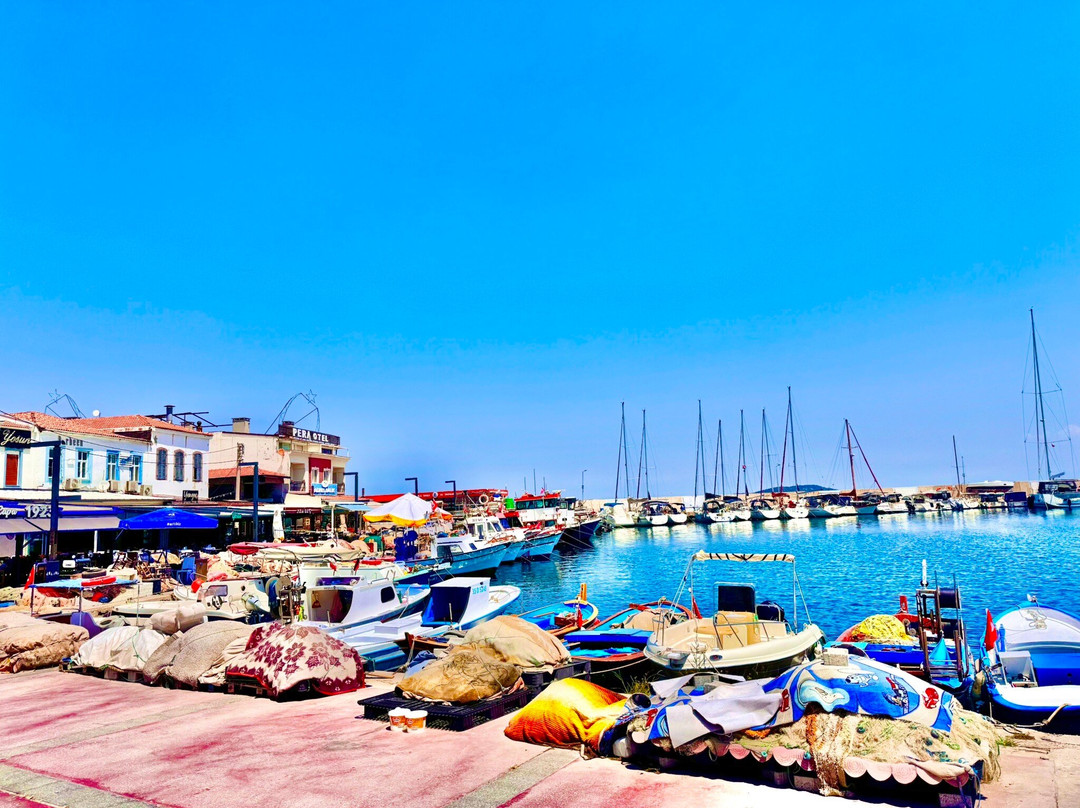 Urla Marina-Urla必去景点