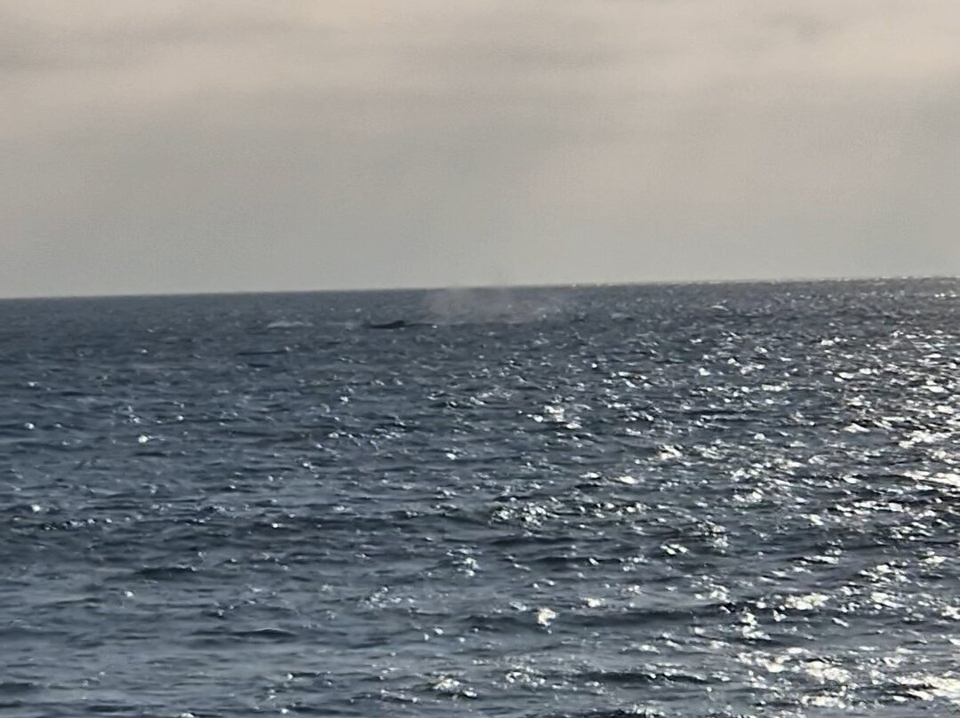 Kite Ecuador-Santa Marianita必去景点