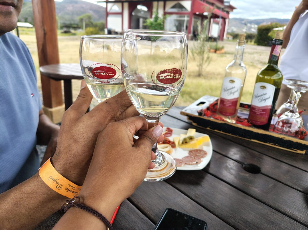 Vinedo Umana Dajud-莱瓦镇必去景点