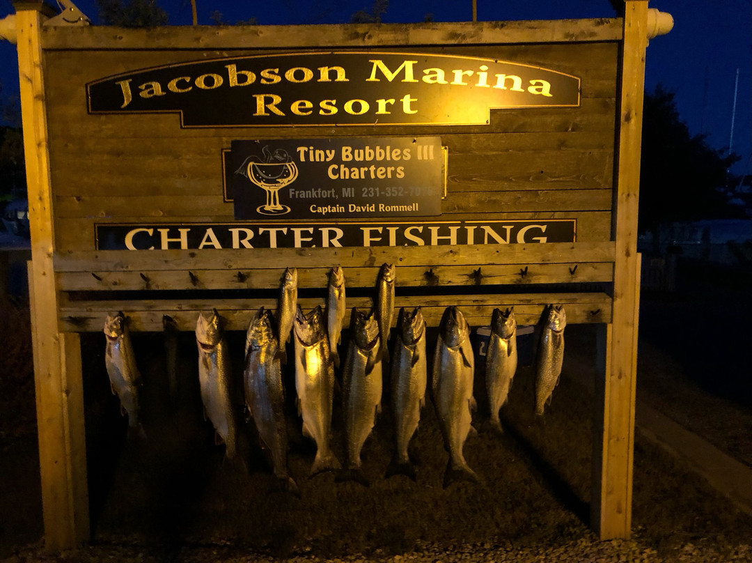 Tiny Bubbles Sport Fishing Charters-Frankfort必去景点