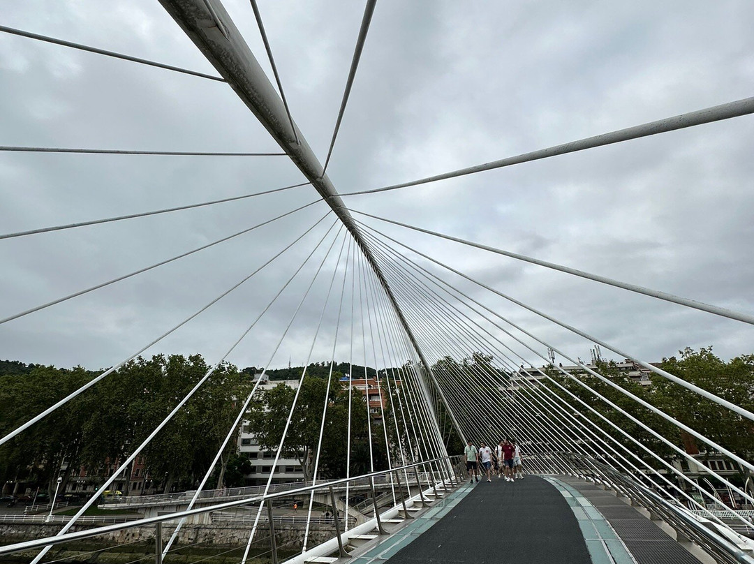 Puente Zubizuri-毕尔巴鄂必去景点