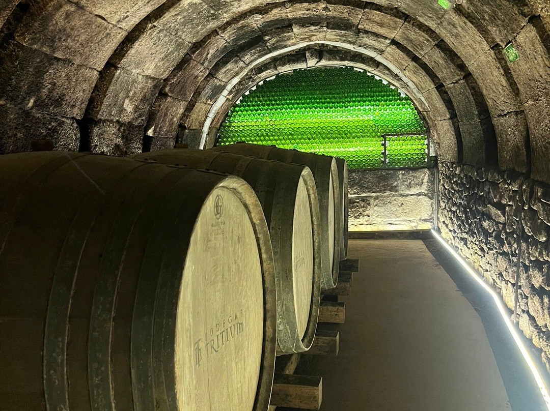 Bodegas Tritium-Cenicero必去景点