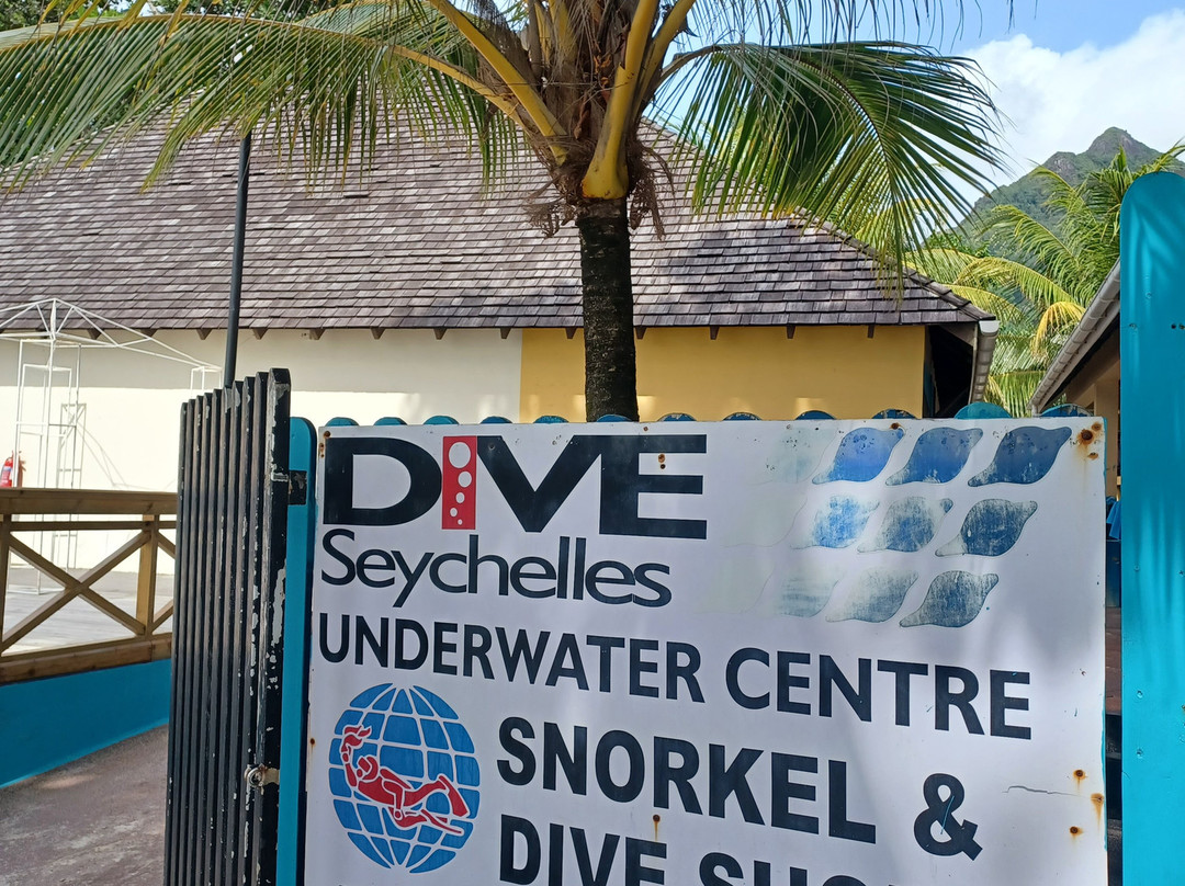 Dive Seychelles Underwater Centre-博瓦隆必去景点