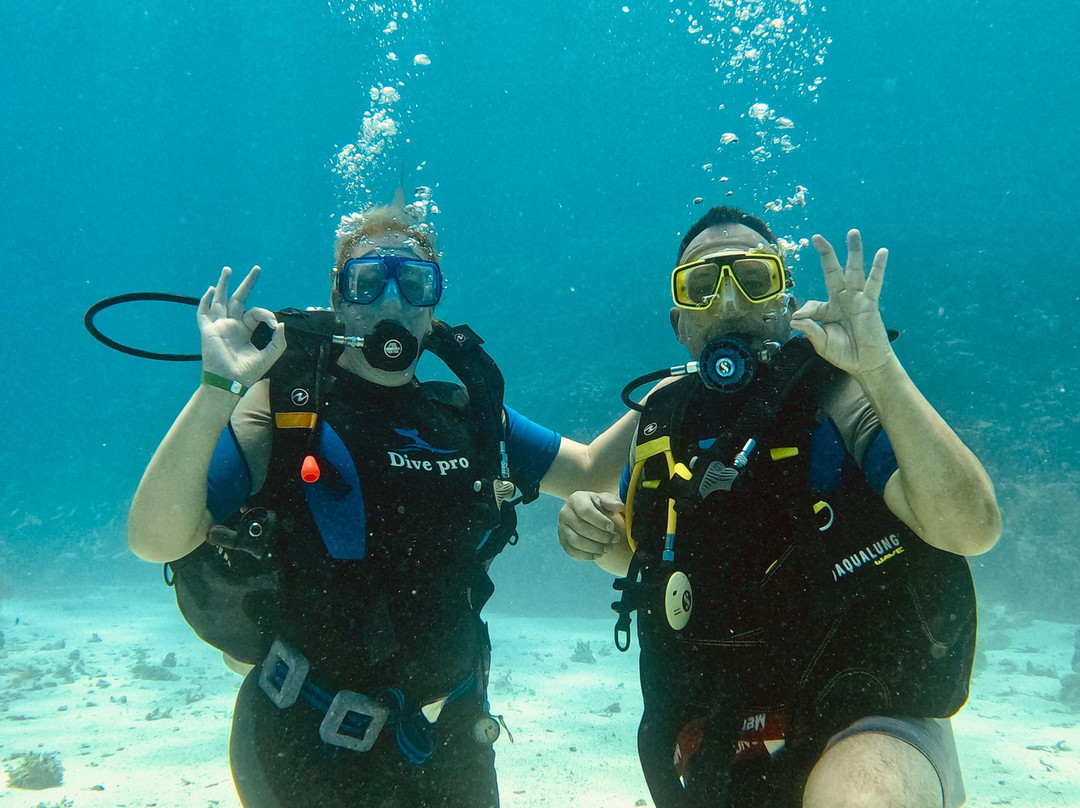 MenaDive-Safaga必去景点