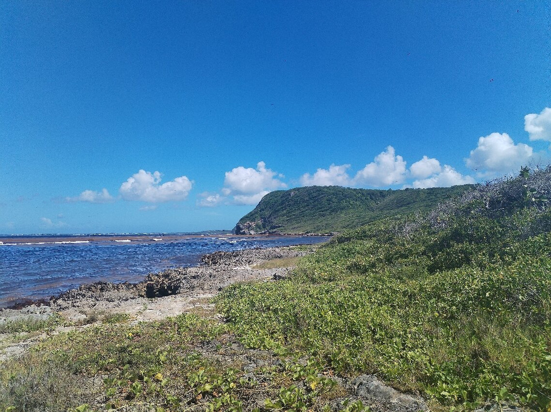 Le Cimetière d’Esclave de Sainte-Marguerite-Le Moule必去景点