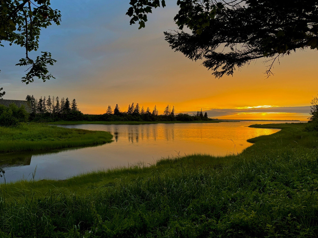 Little Shemogue Inn主图