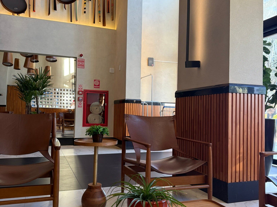 HPlus Premium Palmas主图