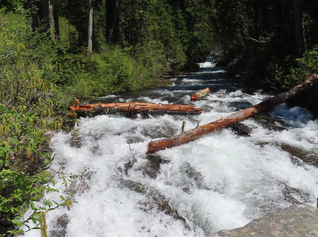 Narada Falls-Paradise必去景点