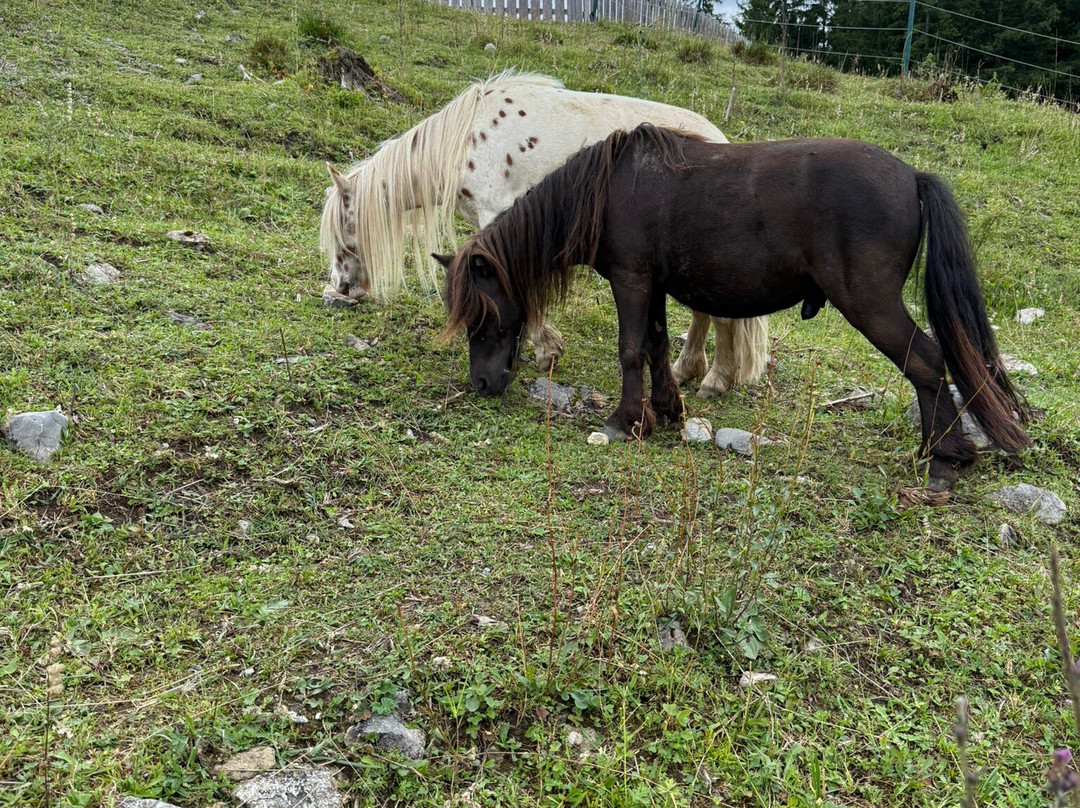 Quartier Severin主图