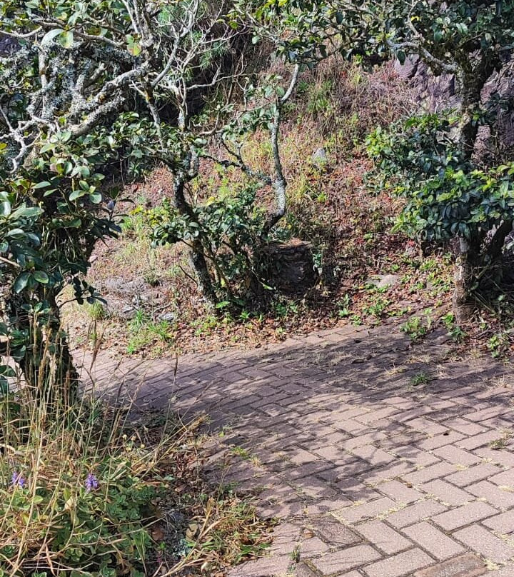 Serra da Piedade de Cima-Visconde Do Rio Branco必去景点
