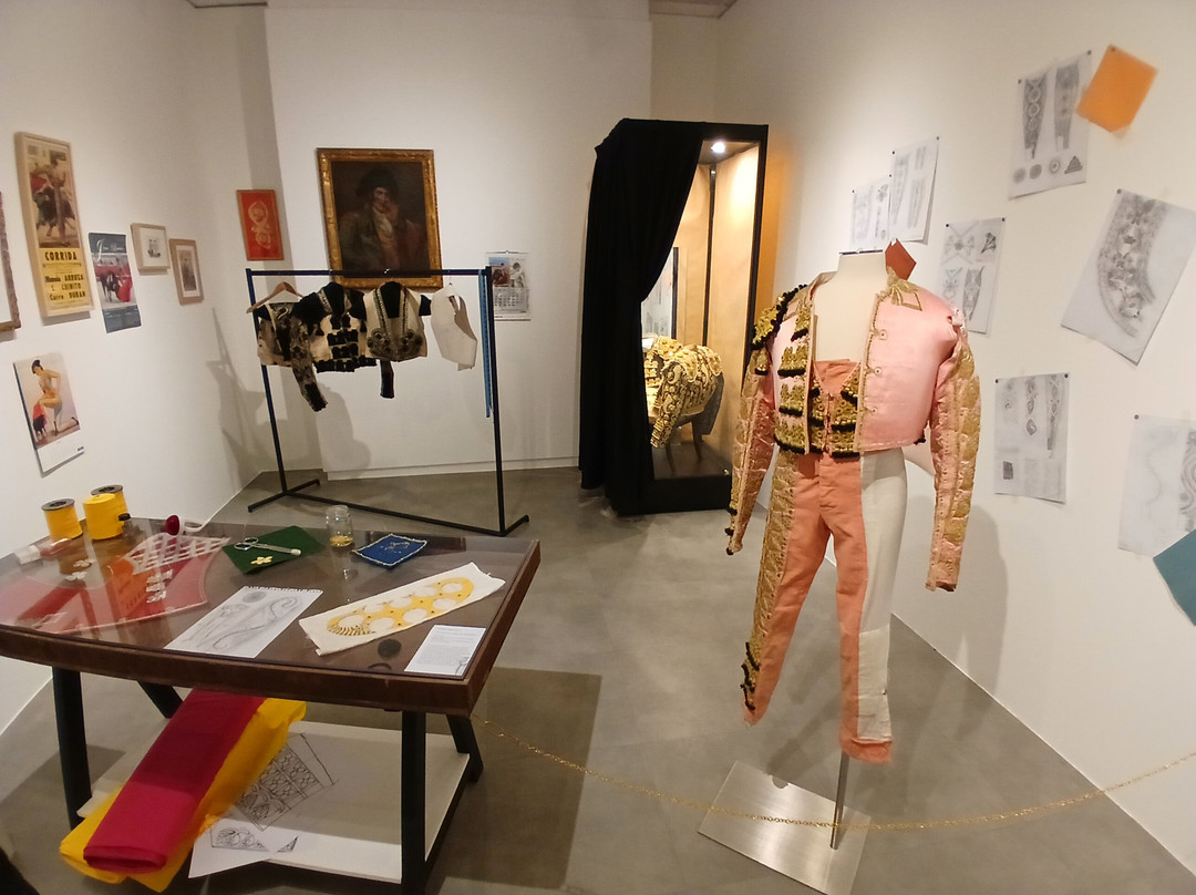 Musée des cultures taurines-尼姆必去景点