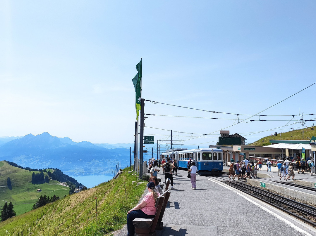 Goldau - Rigi Kulm cogwheel railway-Goldau必去景点