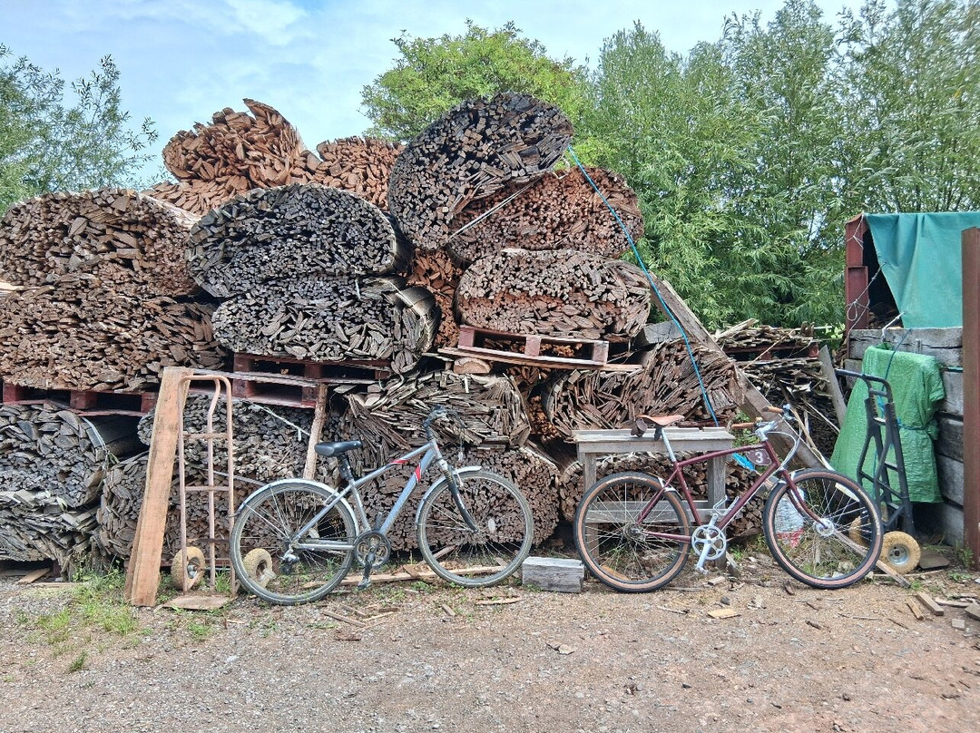 John Leach Muchelney Pottery-Muchelney必去景点