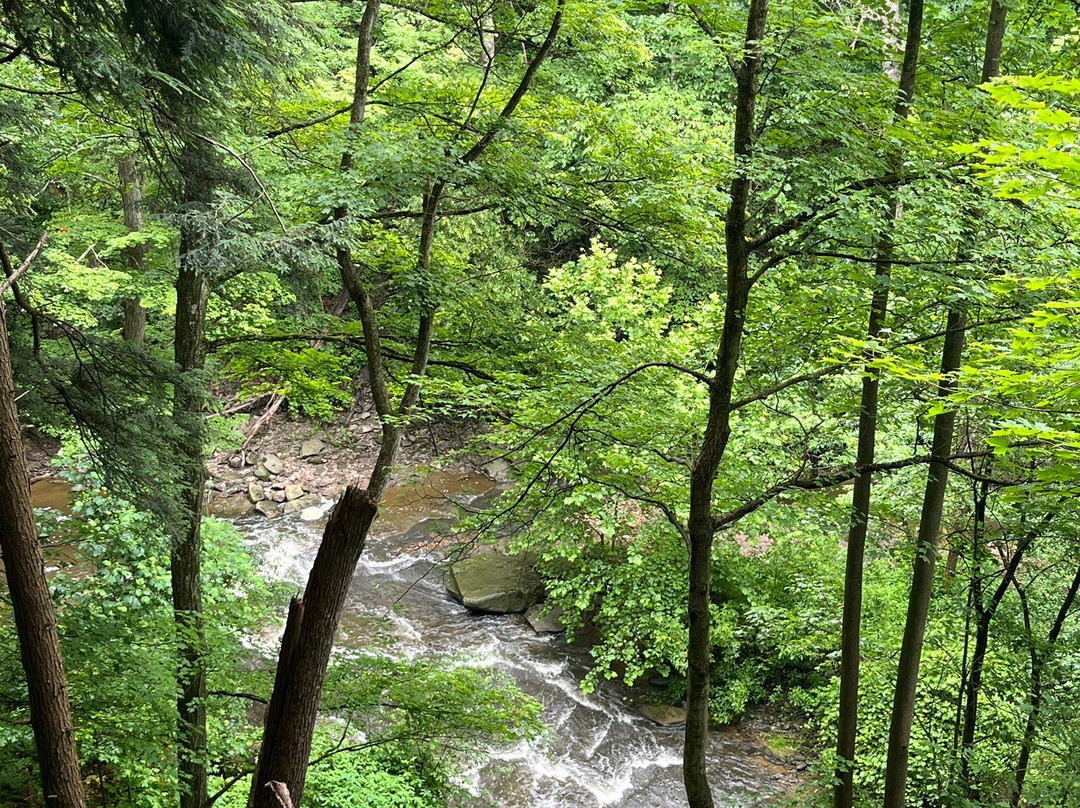 Brandywine Falls-Sagamore Hills必去景点