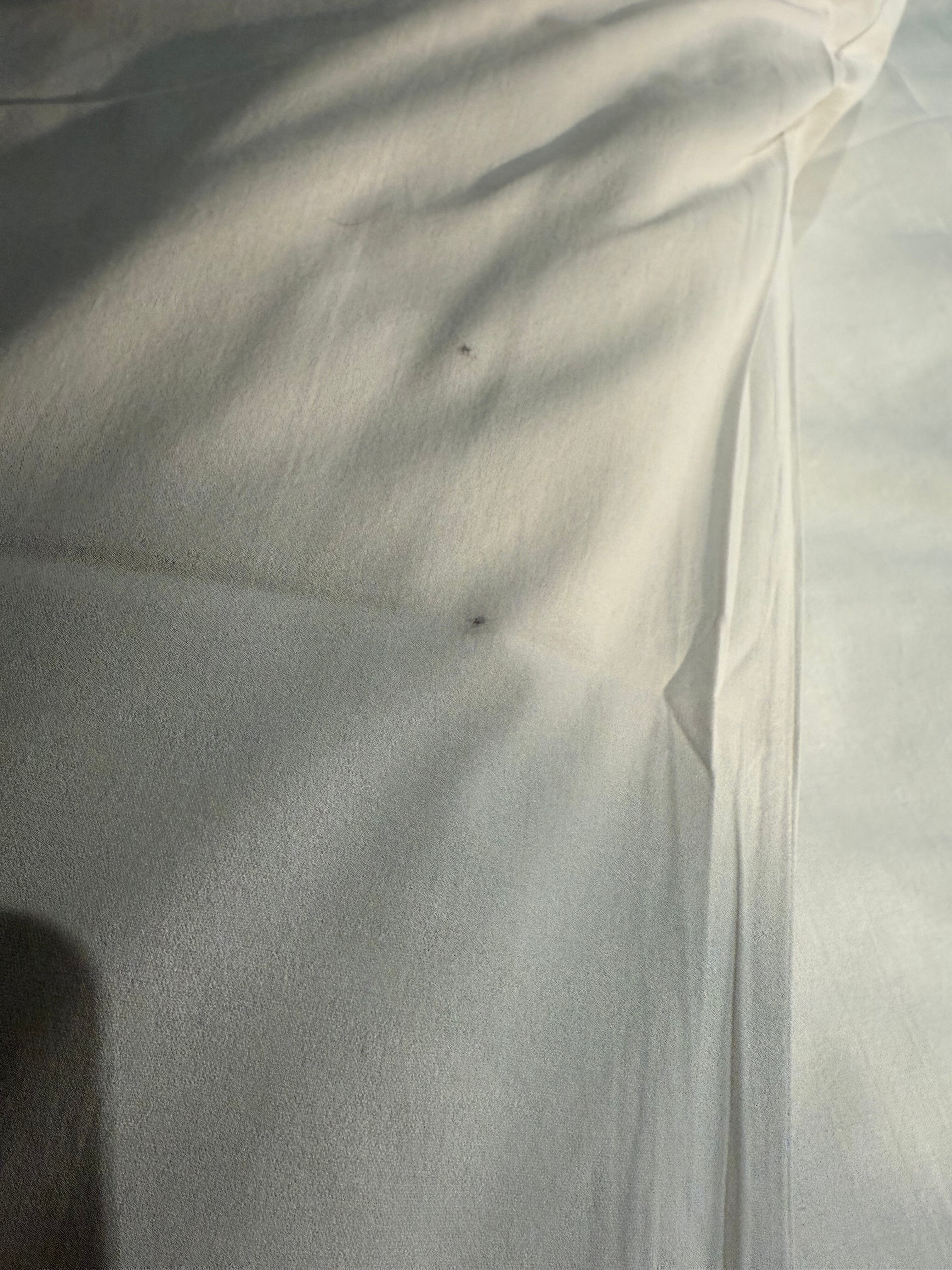 The Sebel Twin Towns Coolangatta-官方