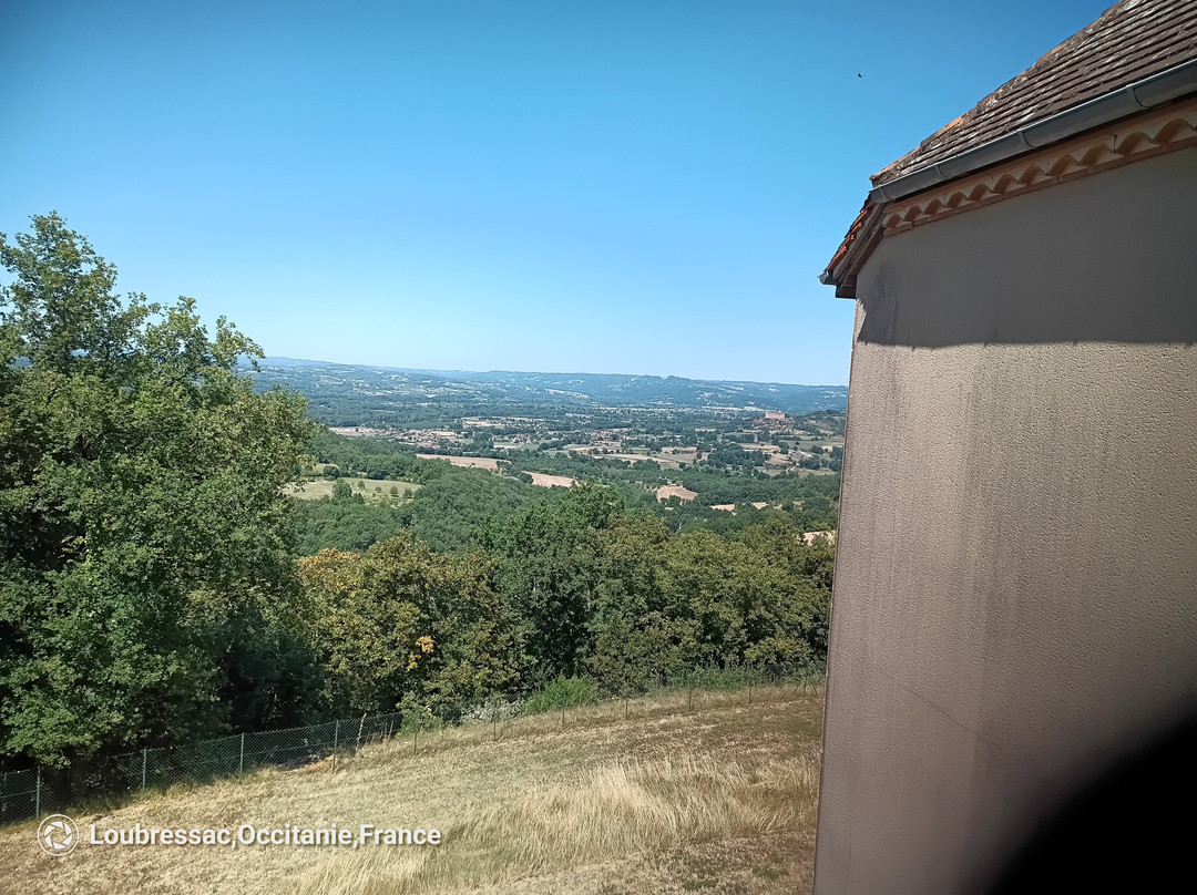 瑞莱斯卡斯特诺因特尔酒店主图