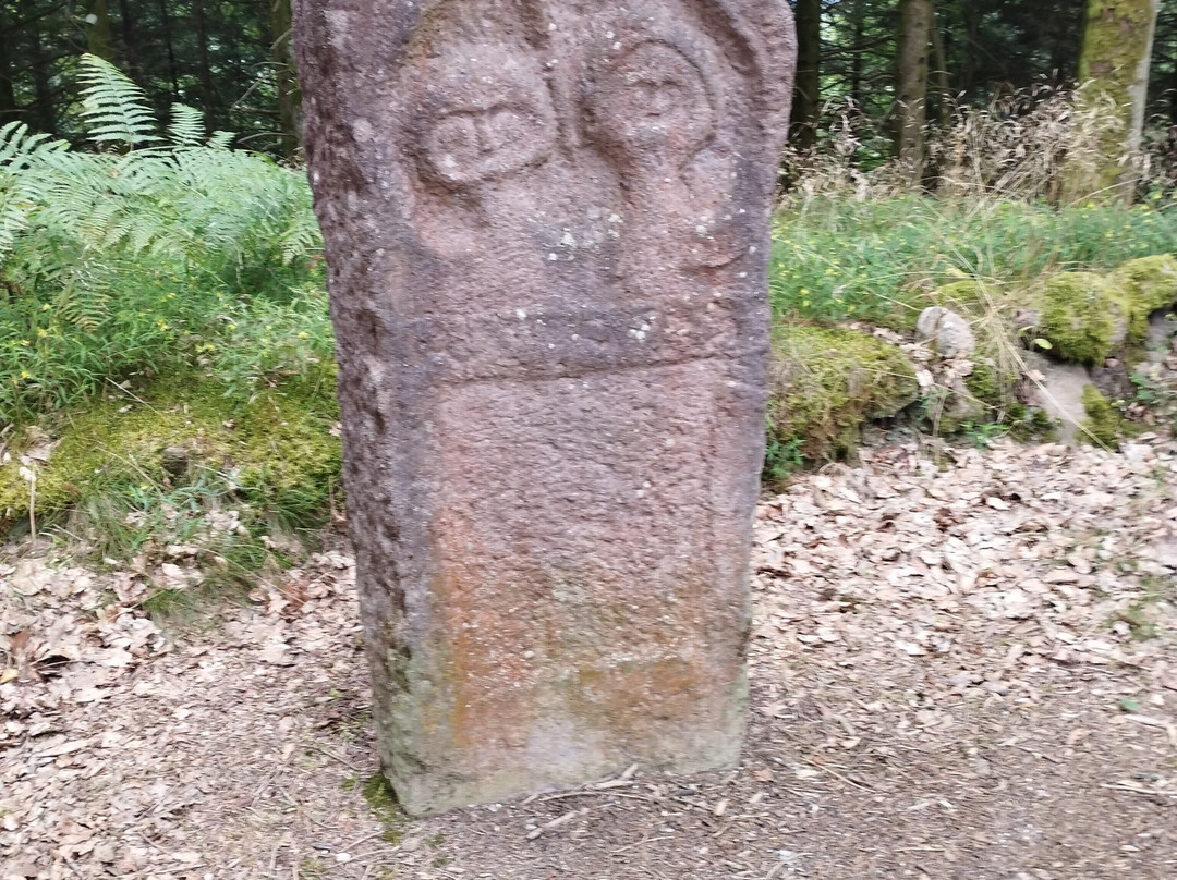 Camp celtique de la Bure-孚日圣迪耶必去景点