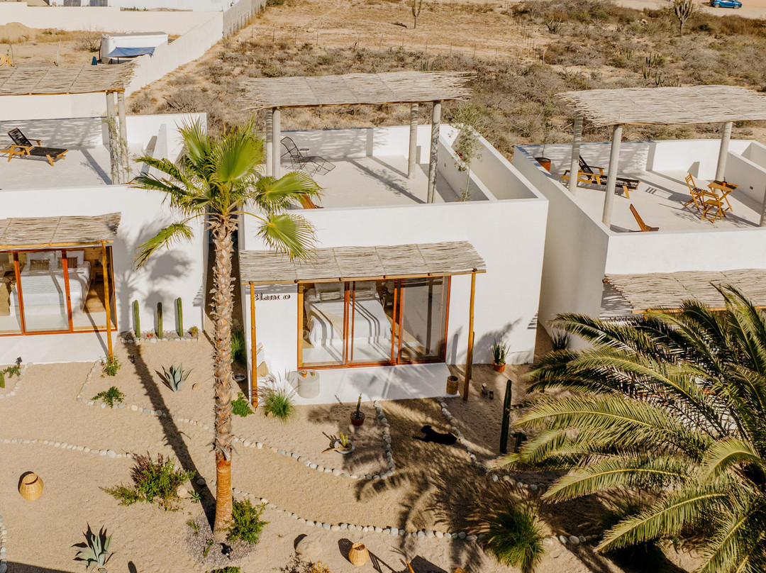 Casa Blanco Madera