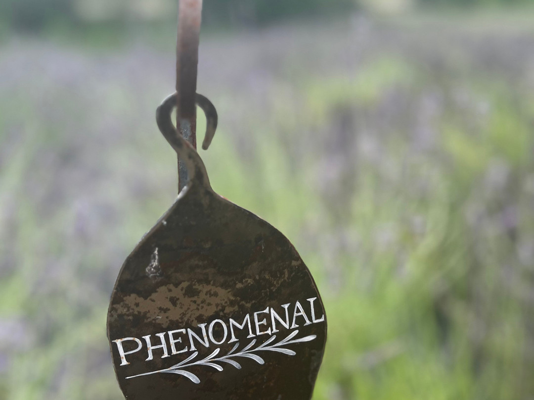 Vive Lavender Farm-Sunderland必去景点