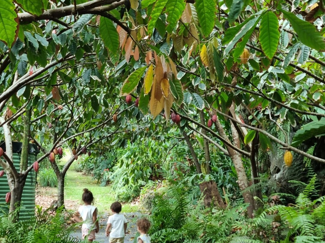 Bitasyon Bio-Saint-Philippe必去景点