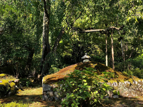 Kyoto Bike Tour - The Bamboo Forest & Arashiyama-京都市必去景点