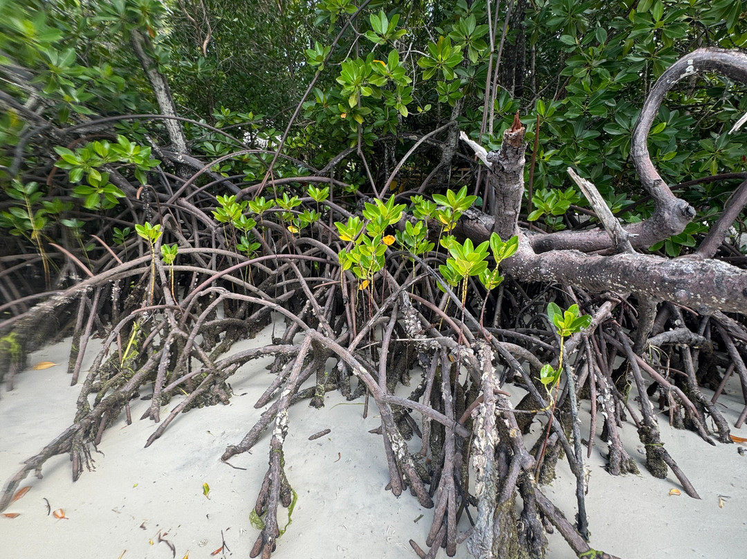 Beppe Watamu-瓦塔木必去景点