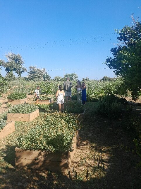 The Garden By Olive Benefits-Karlovasi必去景点