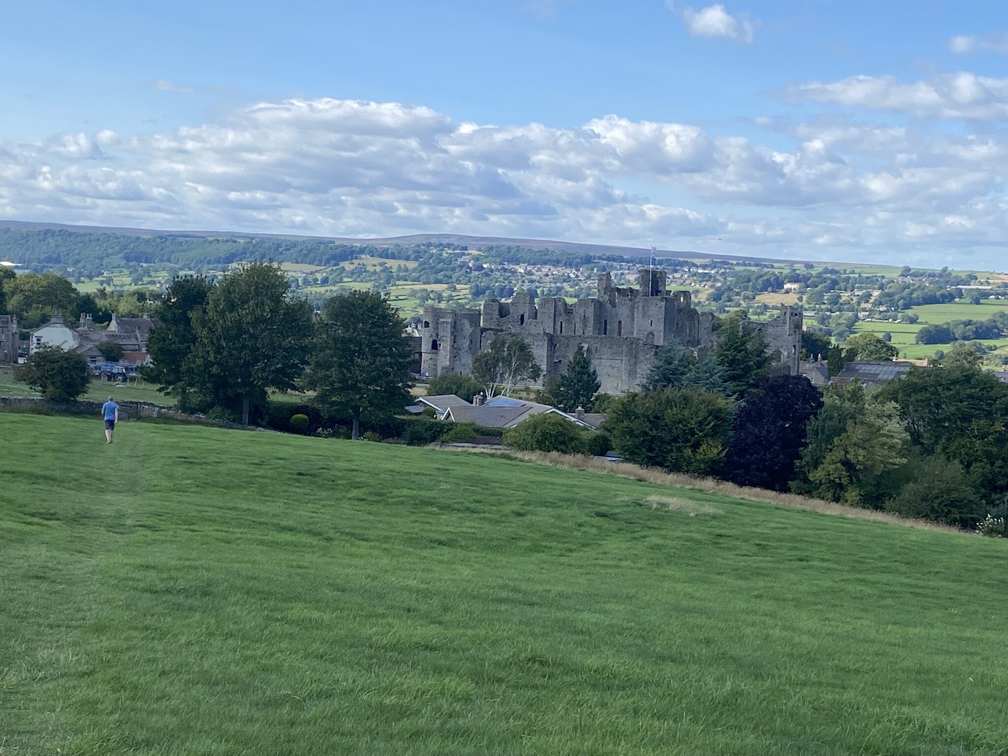 The Blue Lion-官方