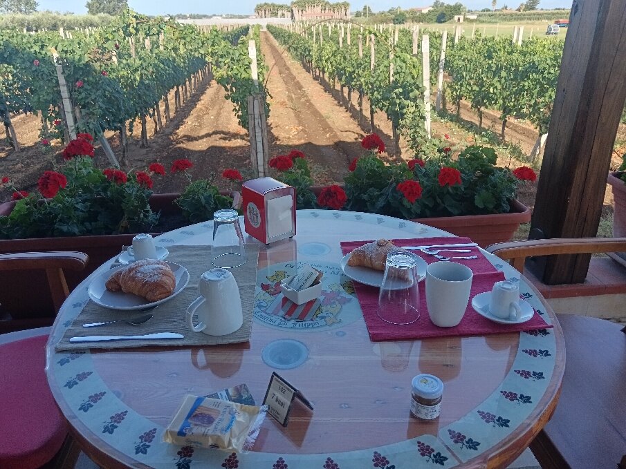 B&B Vigna Di Filippo-官方